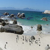 boulders beach