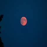blutmond