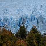 perito moreno