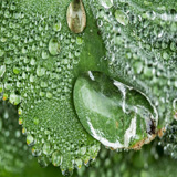 Wassertropfen
