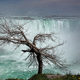 niagara falls baum